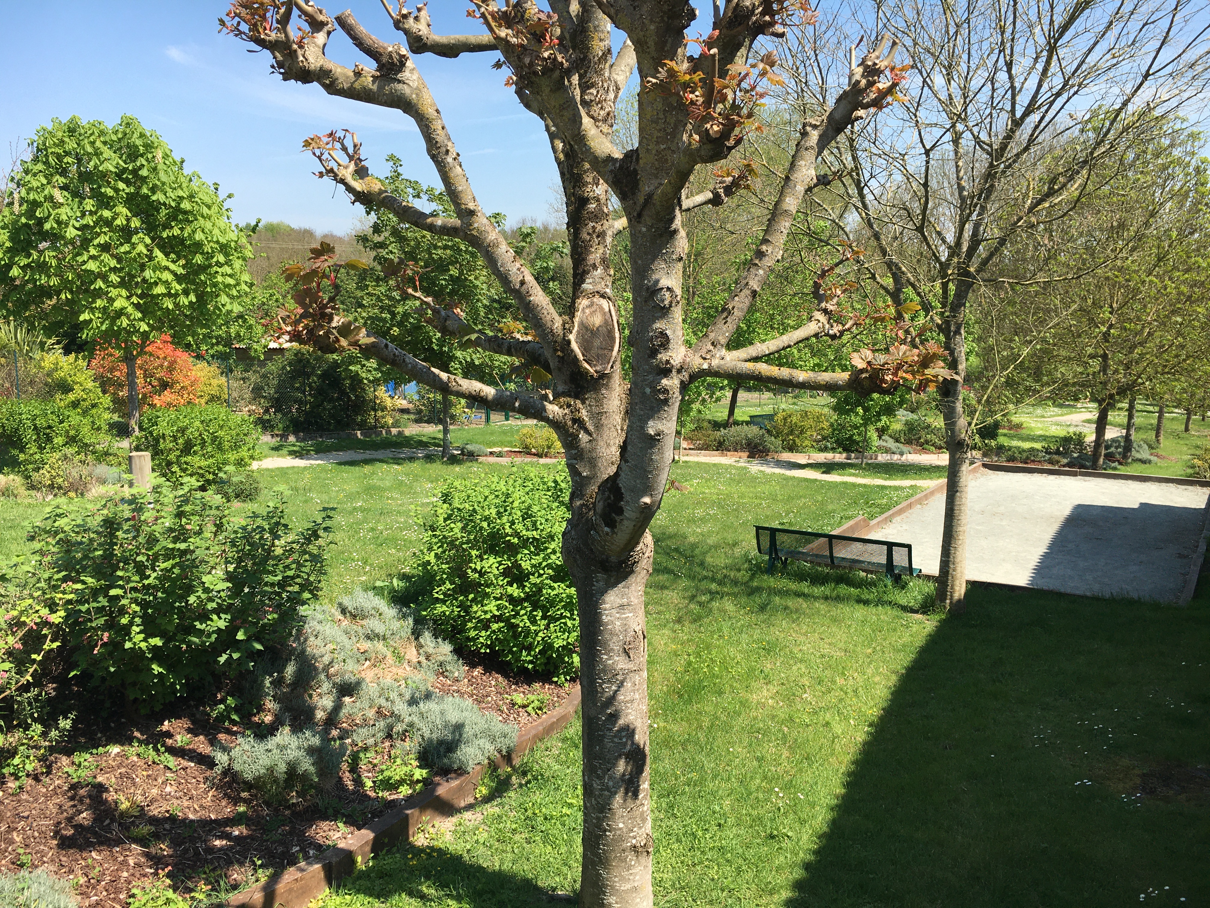 Aire de pique-nique - Torxé