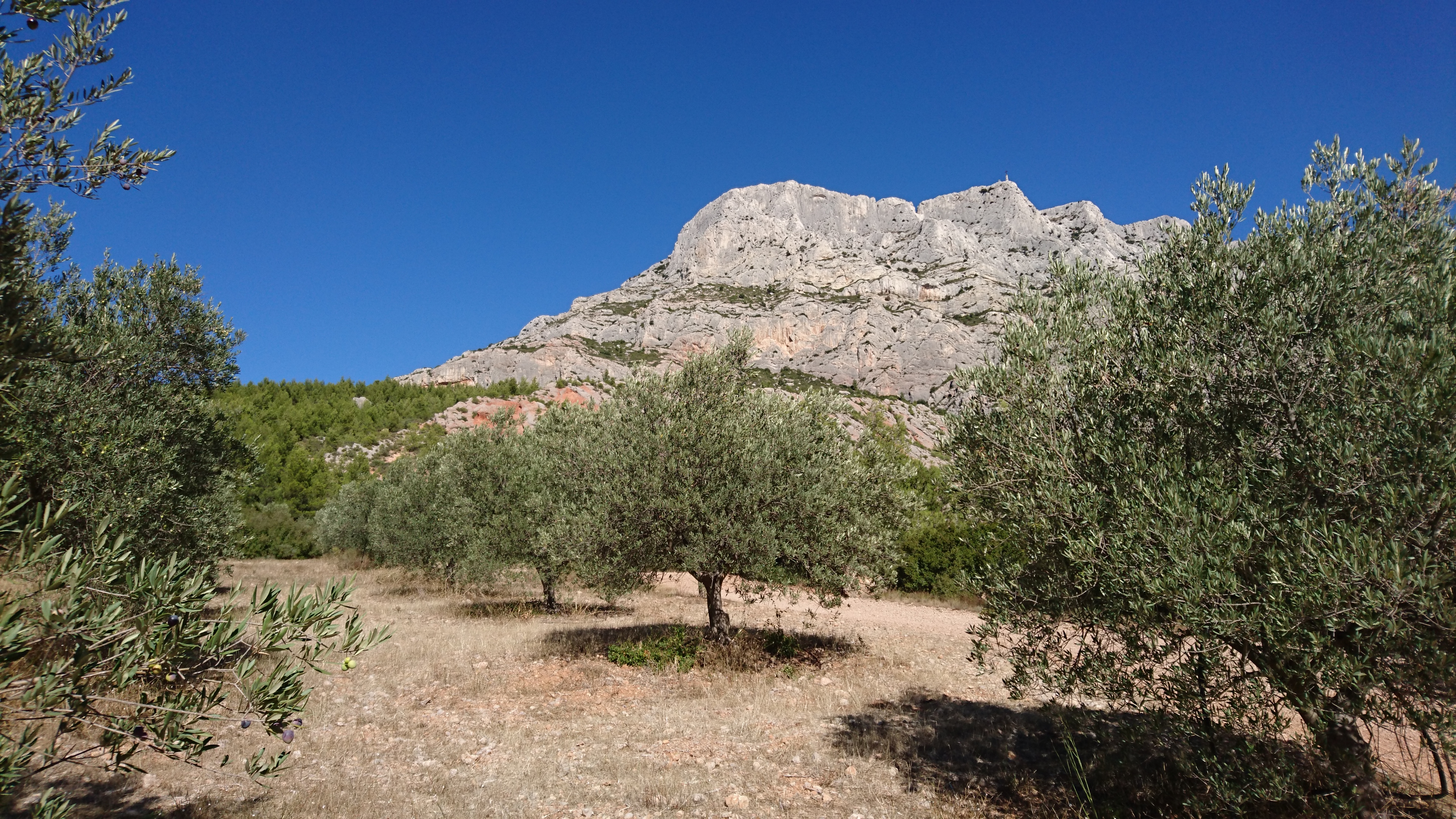 Parc Départemental de Roques Hautes — photo 3