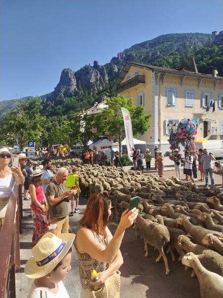 Fête de la Transhumance