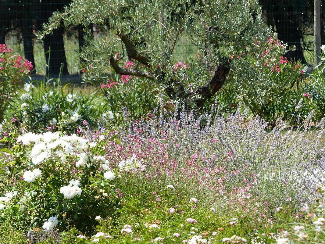 Le Mazet Du Romanil, Cabannes - photo 11