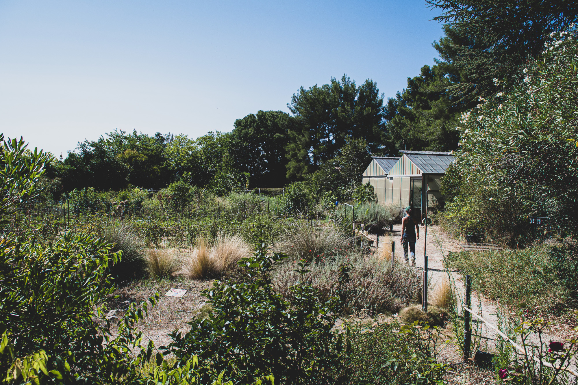Relais nature Saint-Joseph