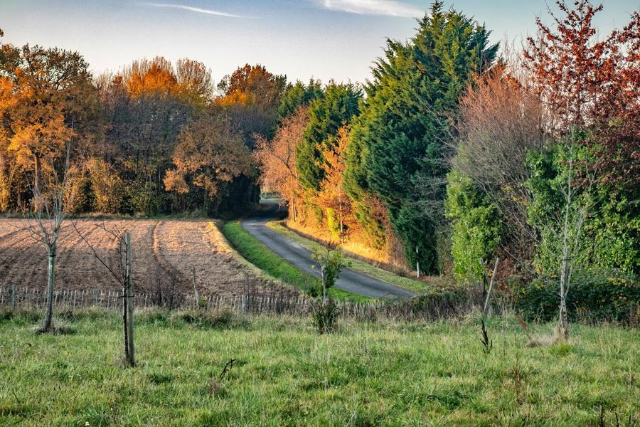 Marche gourmande semi-nocturne
