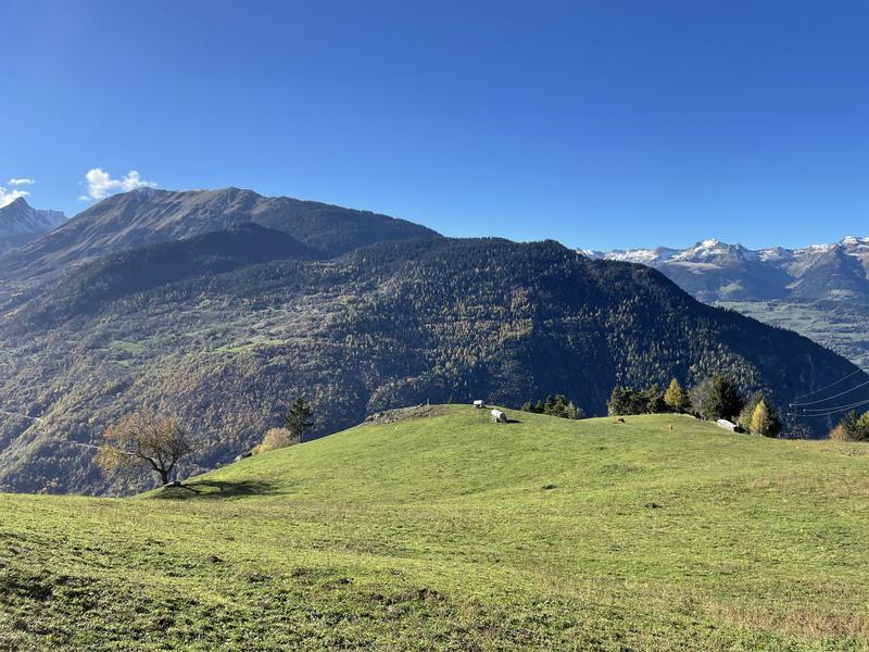 Vue depuis la pierre à cupules - Feissons sur Salins