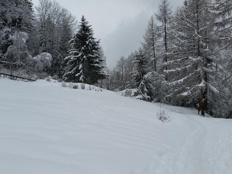 Itinéraire de raquette 