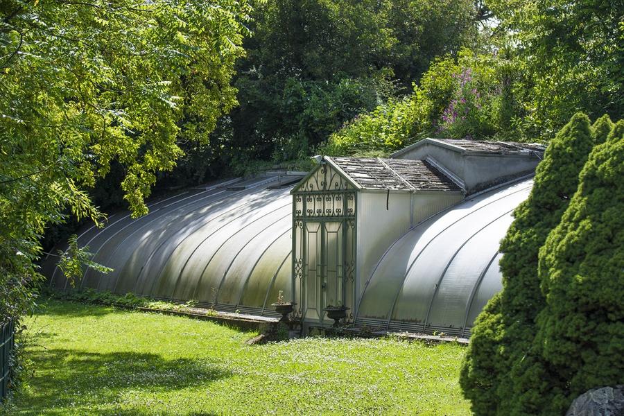 Visite Guidée : "Les secrets botaniques du parc Napoléon III"