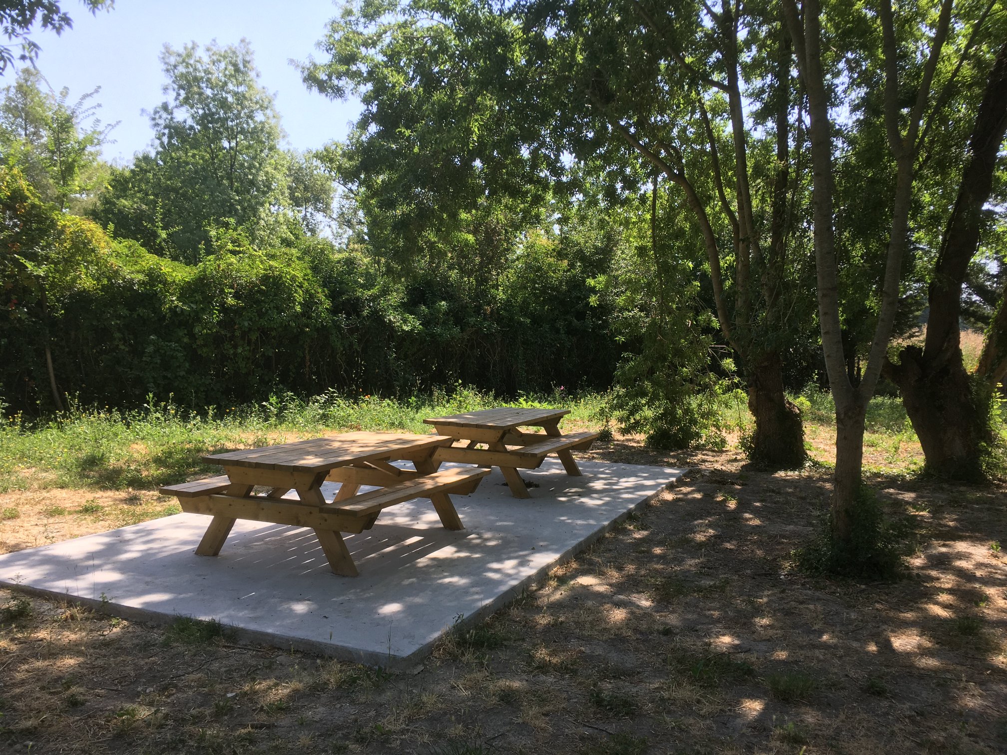 Aire de pique-nique du Lauron des femmes