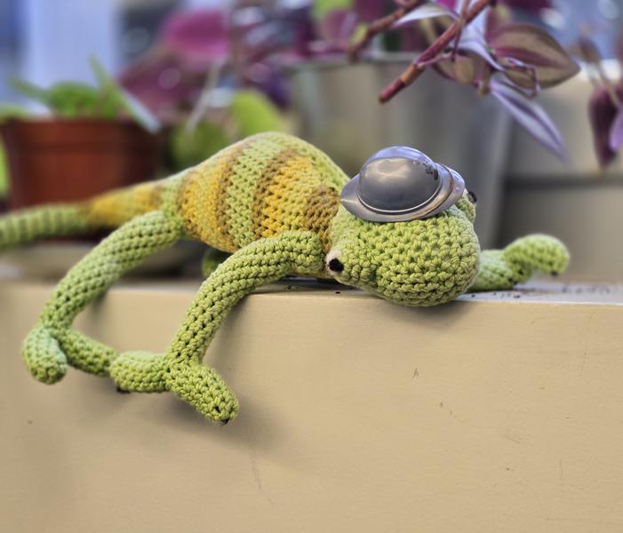 Atelier - P’tits caméléons