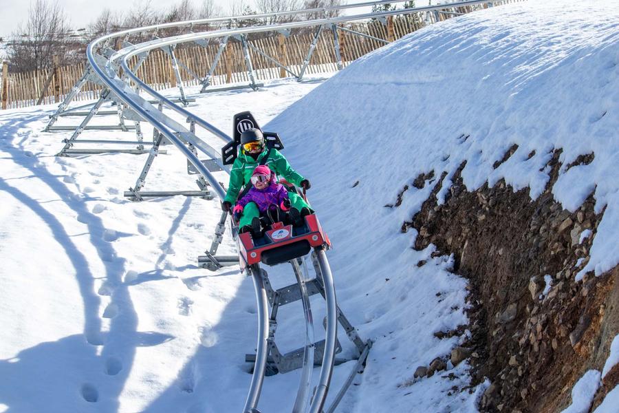 Luge sur rails - Super Coaster