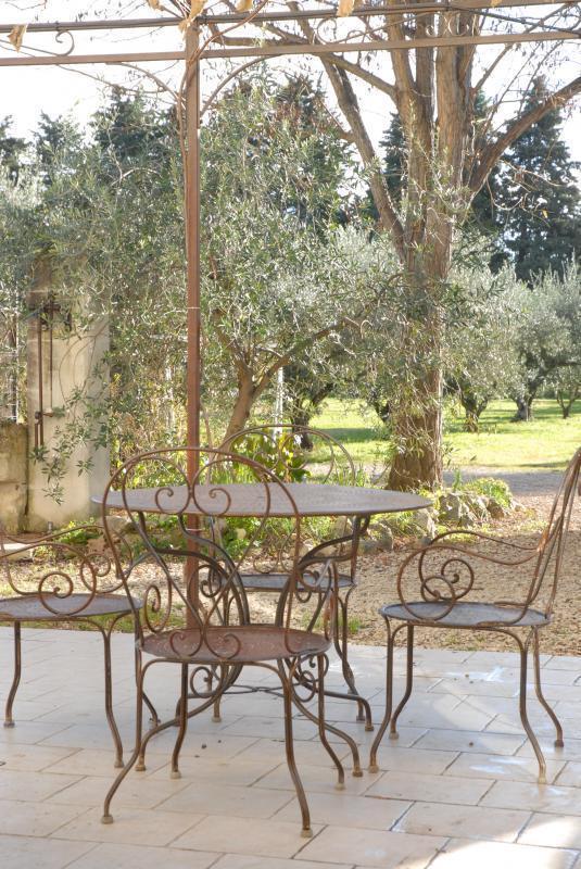 Gîte du Mas des Oliviers, Saint-Pierre-de-Mézoargues - photo 19