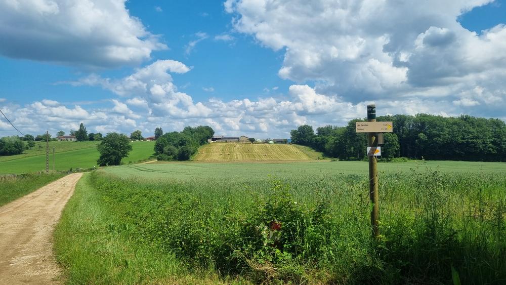 Circuit VTT-VTC n°28 (rouge) - Cormoz_Saint-Nizier-le-Bouchoux