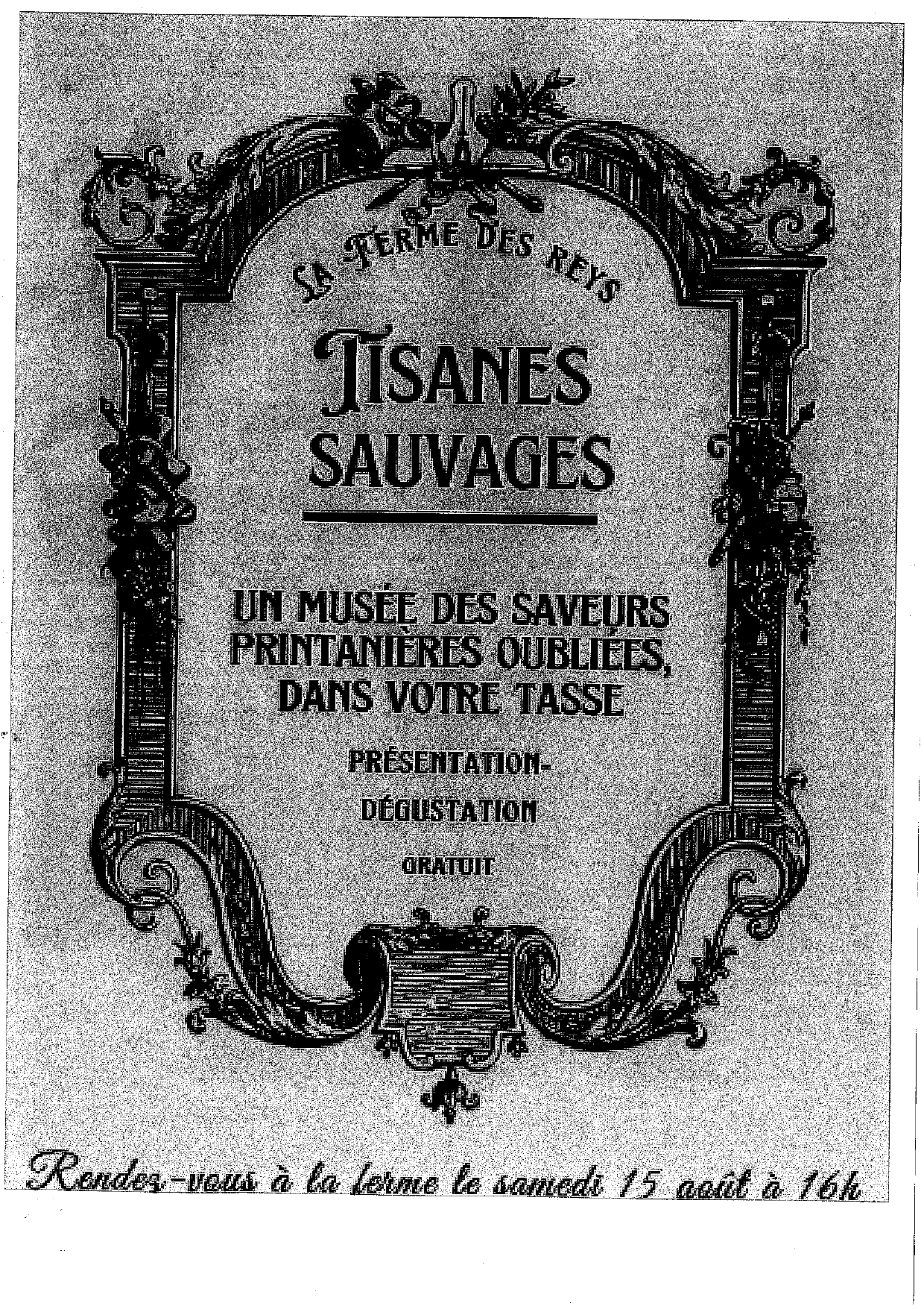 Tisanes sauvages