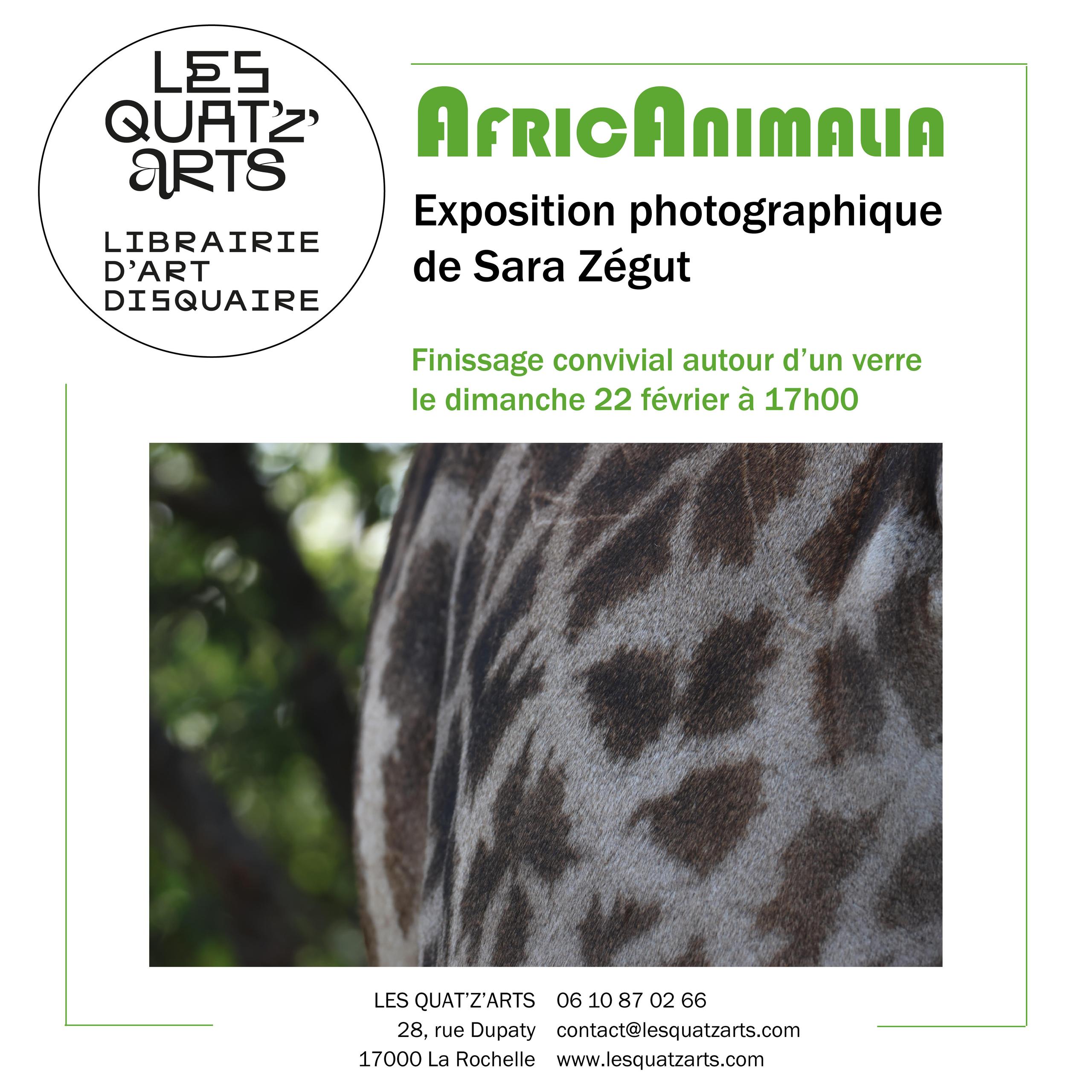 Exposition - Africanimalia