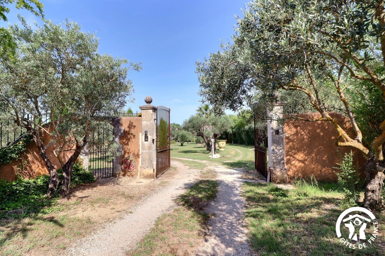 Le Tournesol - photo 3