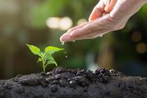 L'Heure des jardiniers