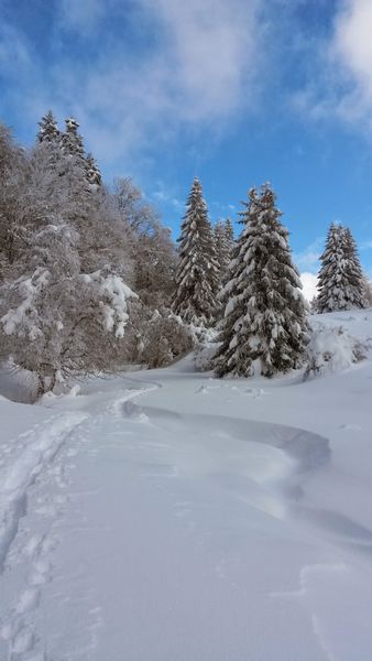Randonnée raquettes