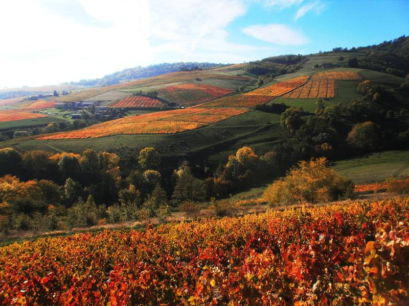 Circuit les Tétières_Blacé