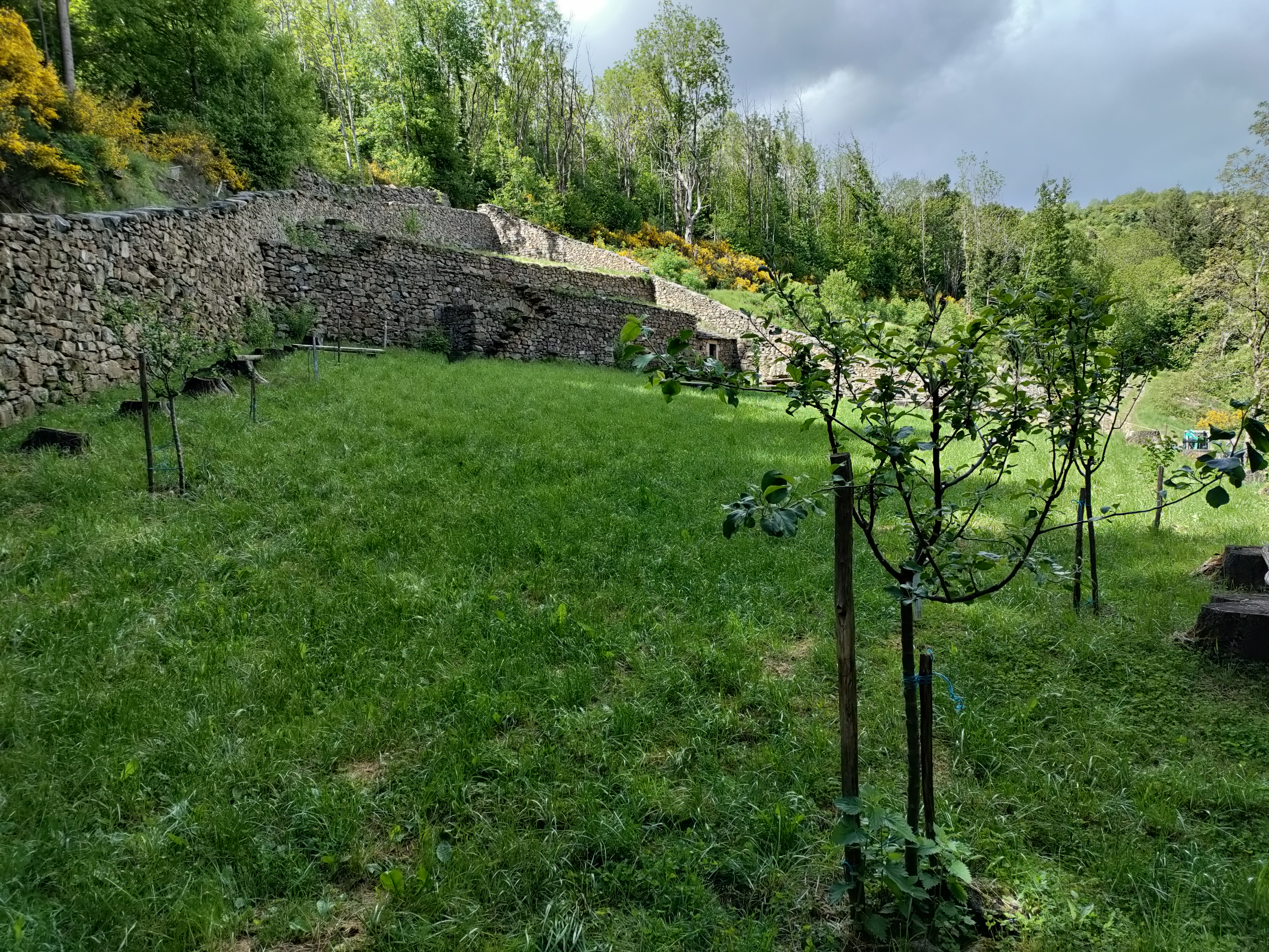 Cinquième anniversaire de la restauration du Jardin Clos du Pré Nouveau
