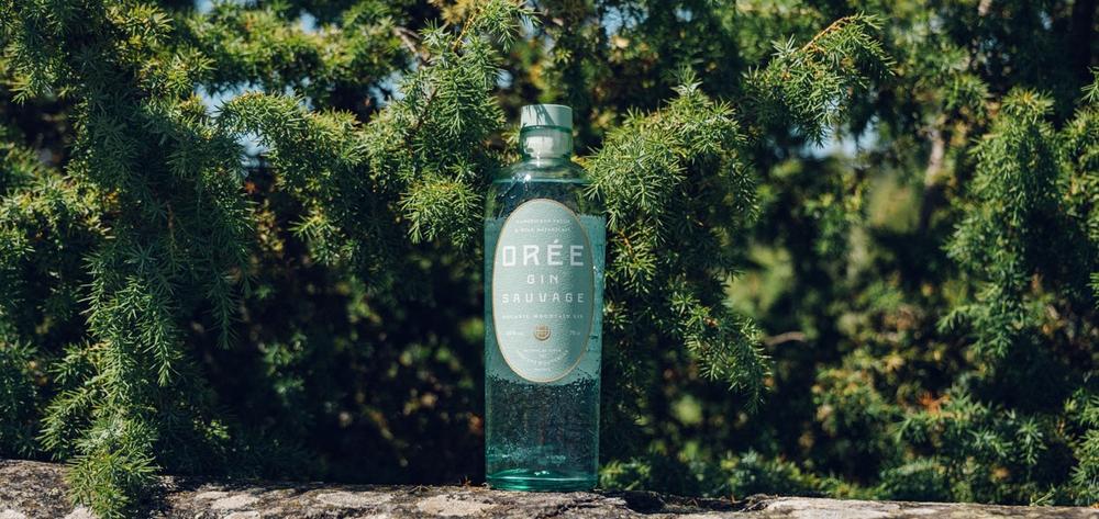 Visite de la distillerie et initiation à la dégustation