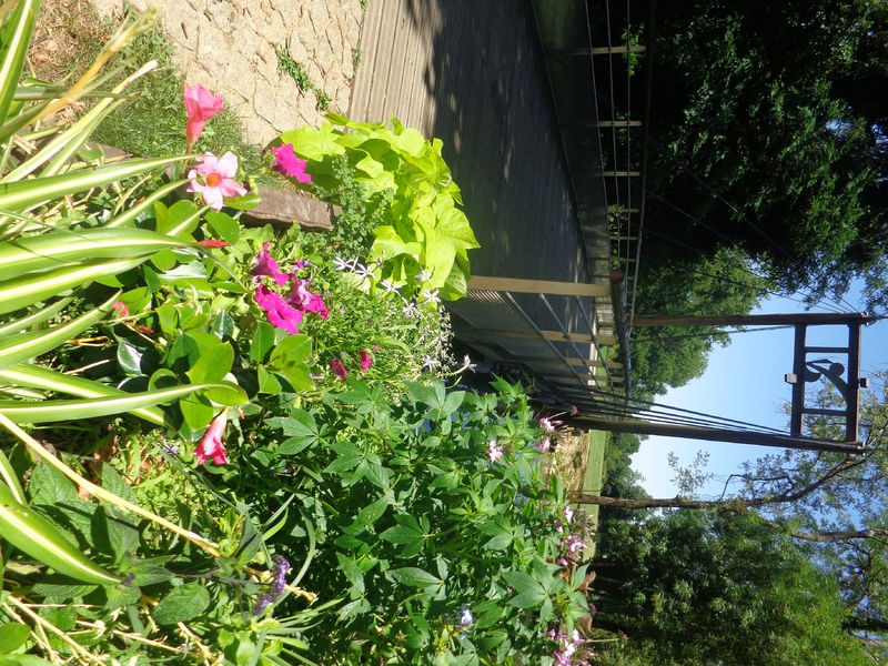 Circuit d'eau, de fleurs et de charmee