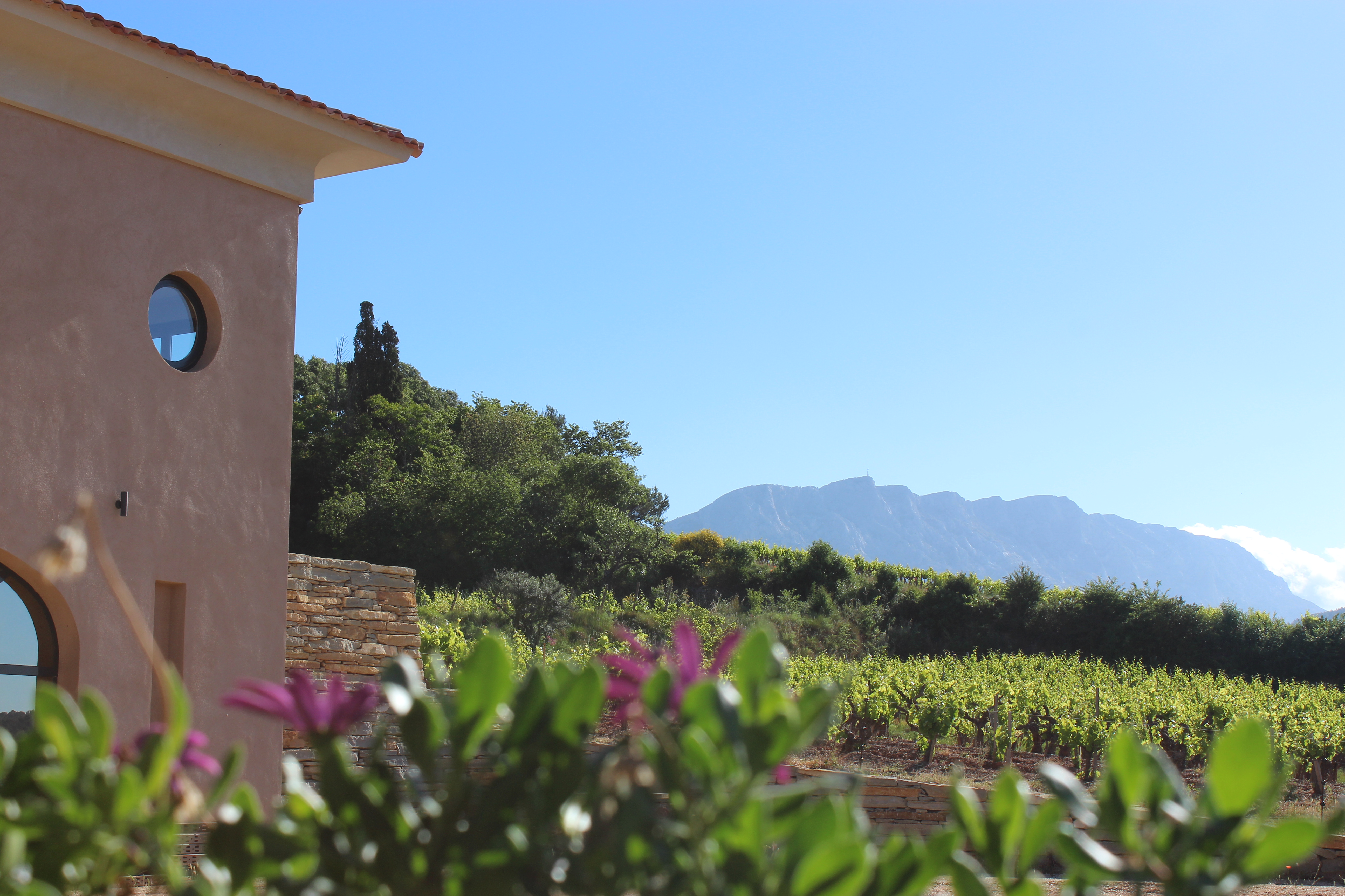 Dans la peau d’un vigneron : faire face aux aléas climatiques, au Château Henri Bonnaud
