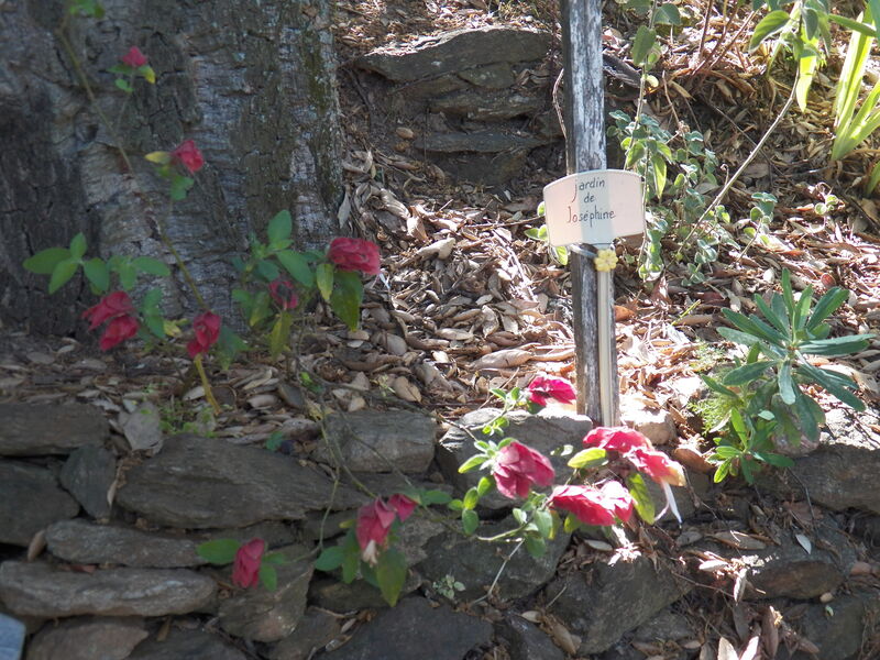 Jardin remarquable L'Hardy à Gassin - https://gassin.eu