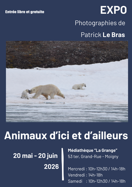 Expo – Animaux d’ici et d’ailleurs_Moigny-sur-École