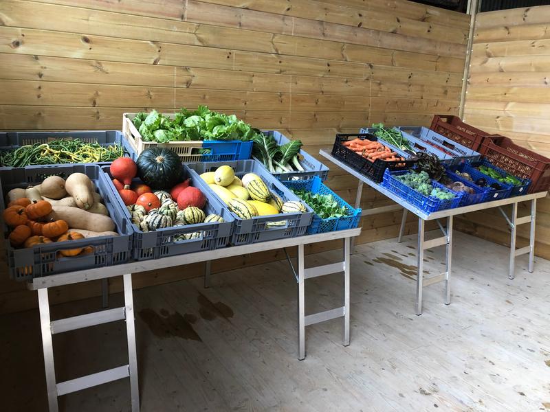 Légumes