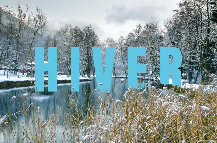 Étang - Camping l'Imprévu