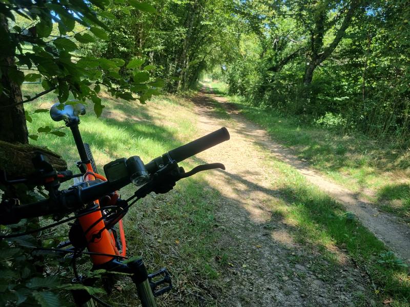 Les grandes terres de Marboz