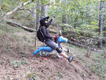 rando foret