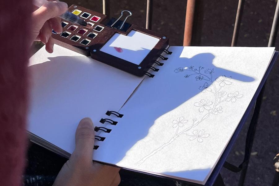 Atelier Urban Sketching_Bormes-les-Mimosas