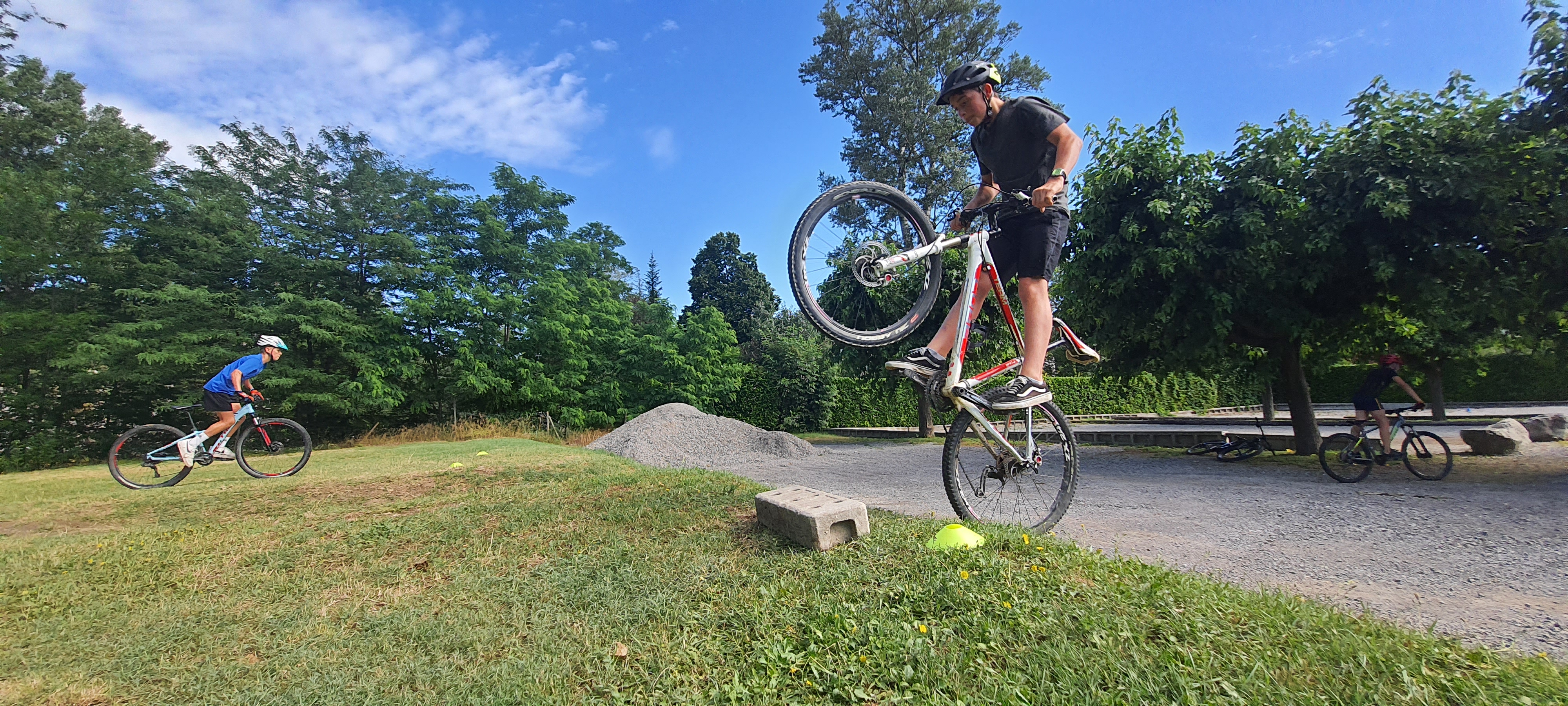 966f5c7d447c4ec3f3b6