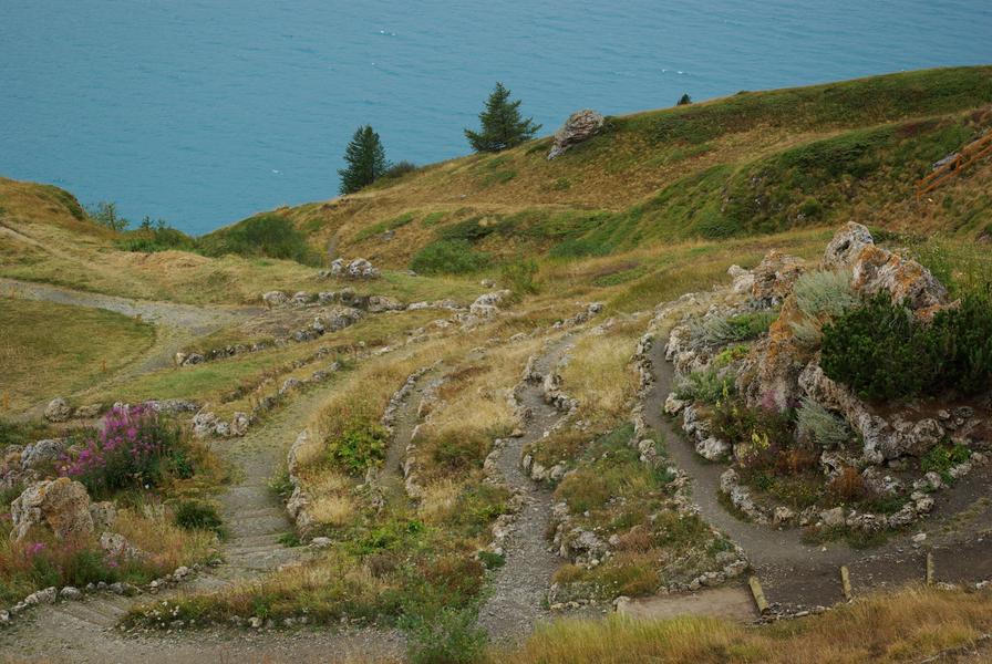 Jardin alpin du Mont-Cenis