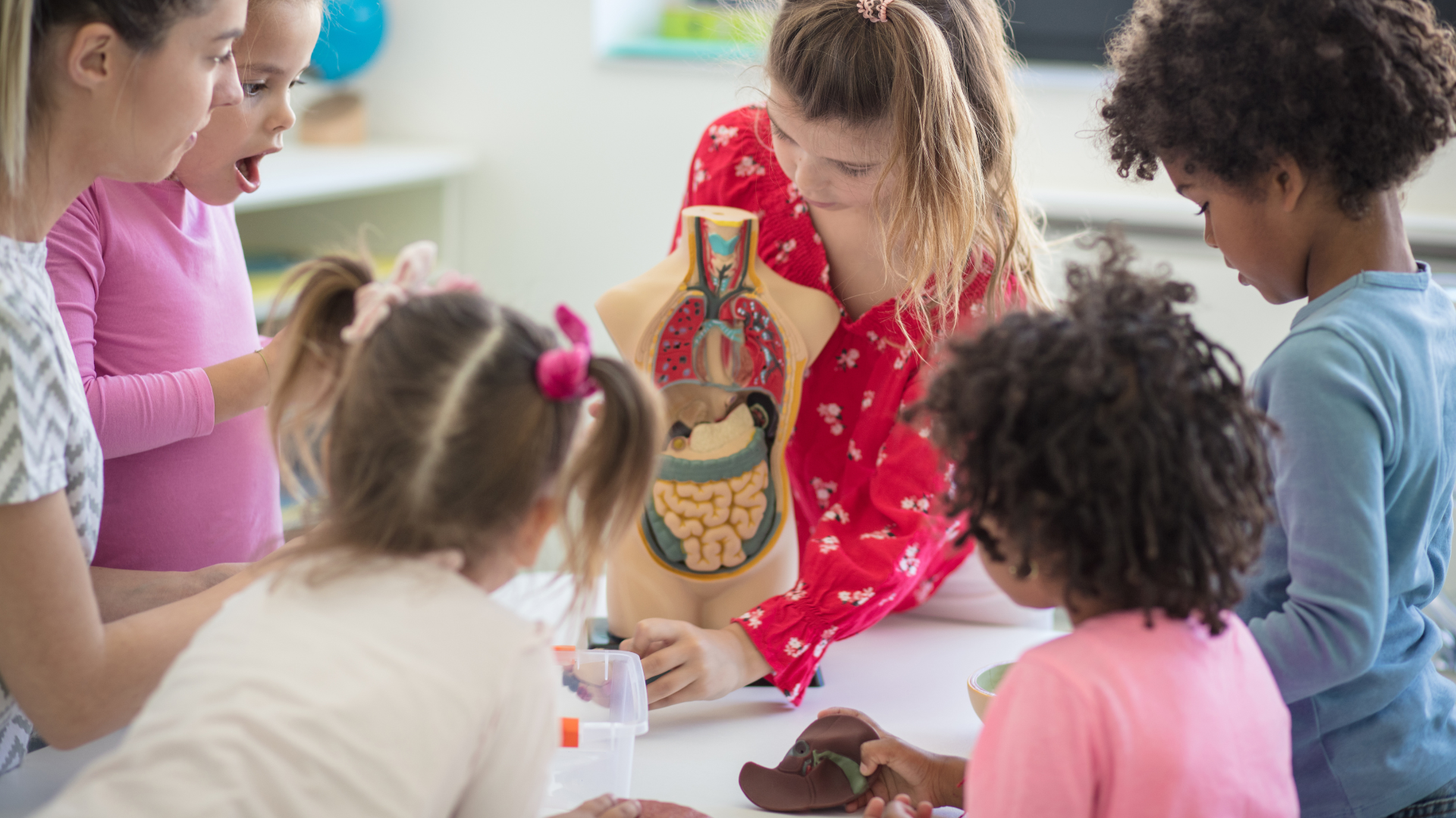 Atelier ALTEC (6-8 ans) - Voyage à l'intérieur du corps humain_Bourg-en-Bresse