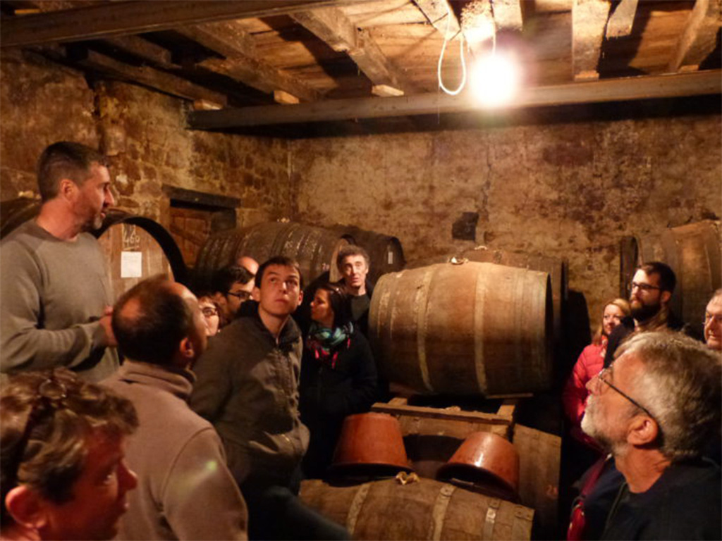 vignoble Chauraud et fils