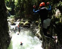 Saut