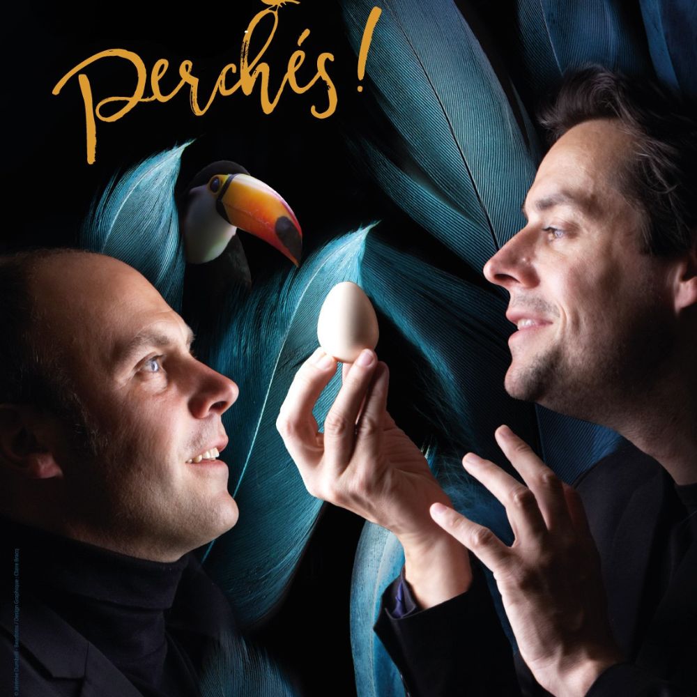 Perchés ! "Les Chanteurs d'Oiseaux" - L'Intégral