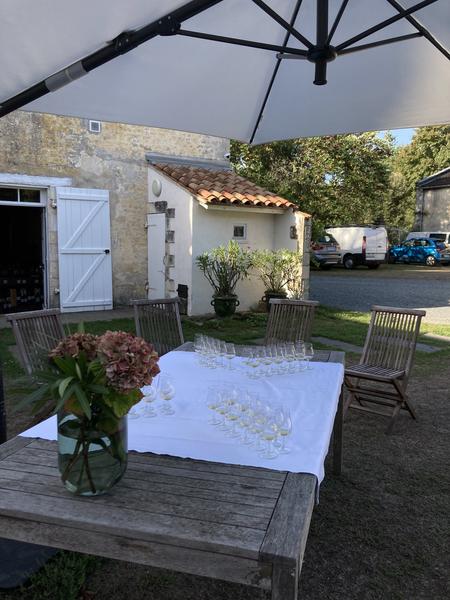 Des verres disposés sur une table pour une dégustation.