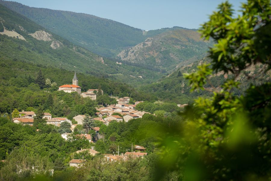 La Souche ©S.BUGNON