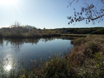 Parc de Vaugrenier - Villeneuve-Loubet