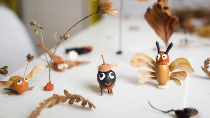 Atelier 6-12 ans : Drôles d'insectes à bricoler au Marais de lavours