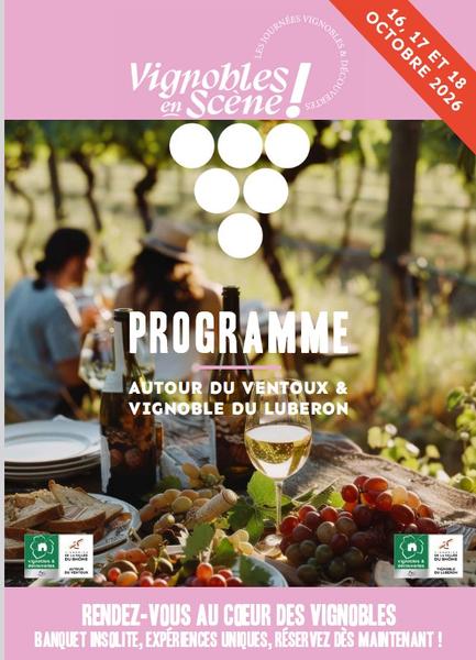 Vignobles en Scène : MARRENON - Atelier vins et cocktails à La Tour d'Aigues_La Tour-d'Aigues