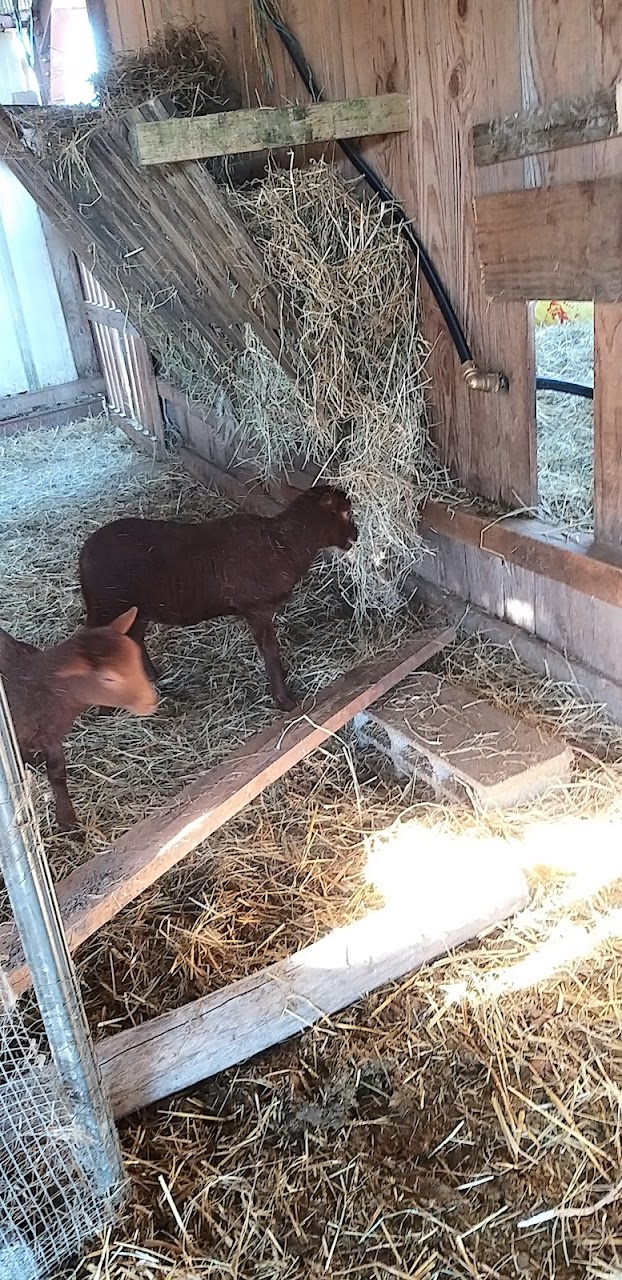La ferme des templiers