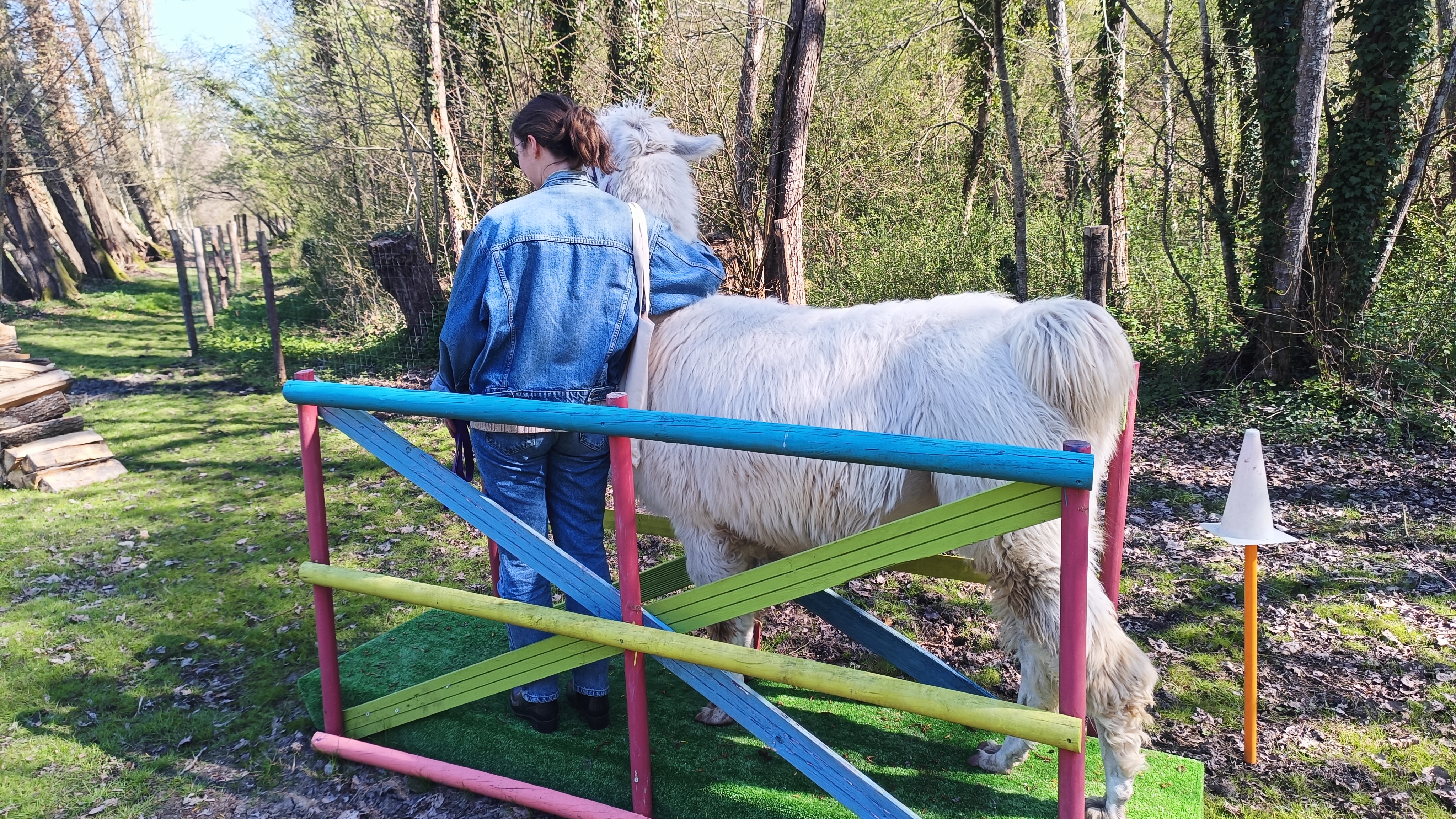 L'u00c9climont et ses Lamas_Abbu00e9ville-la-Riviu00e8re