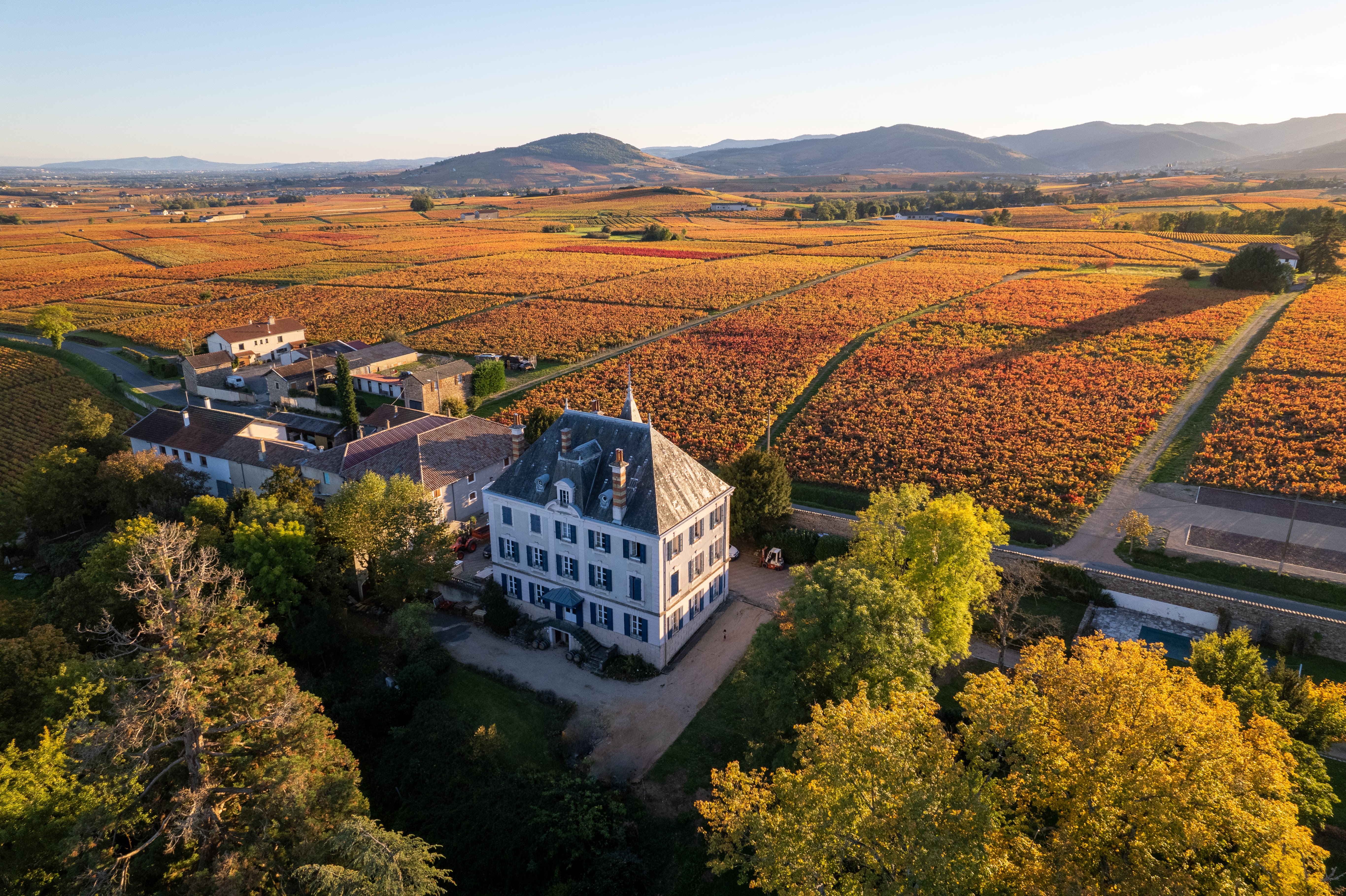 Château Grange Cochard