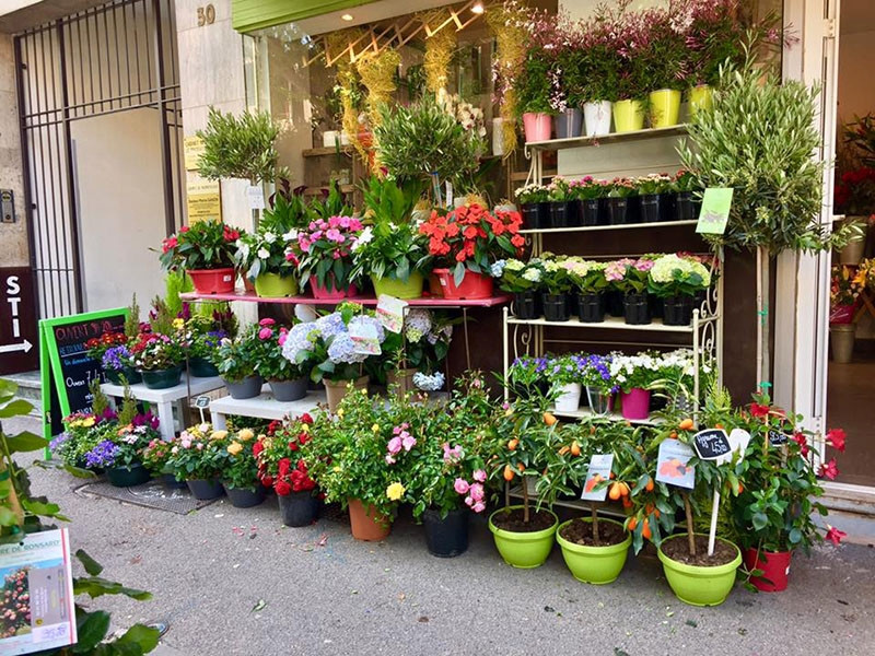 Un dimanche à la campagne