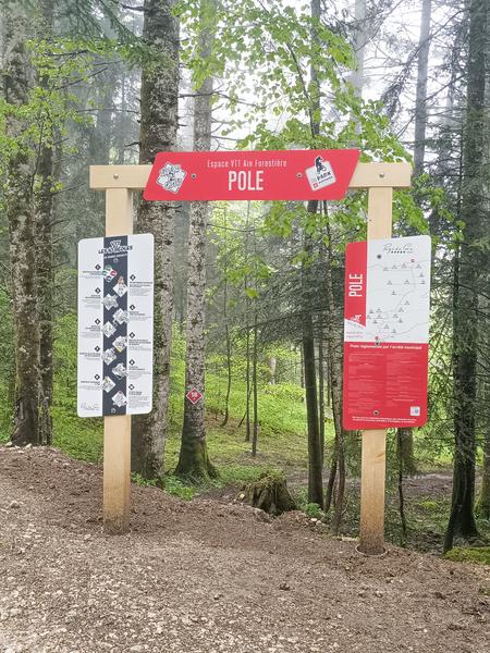 Piste VTT Descente - rouge - Pole - Espace Ain Forestière_Crozet