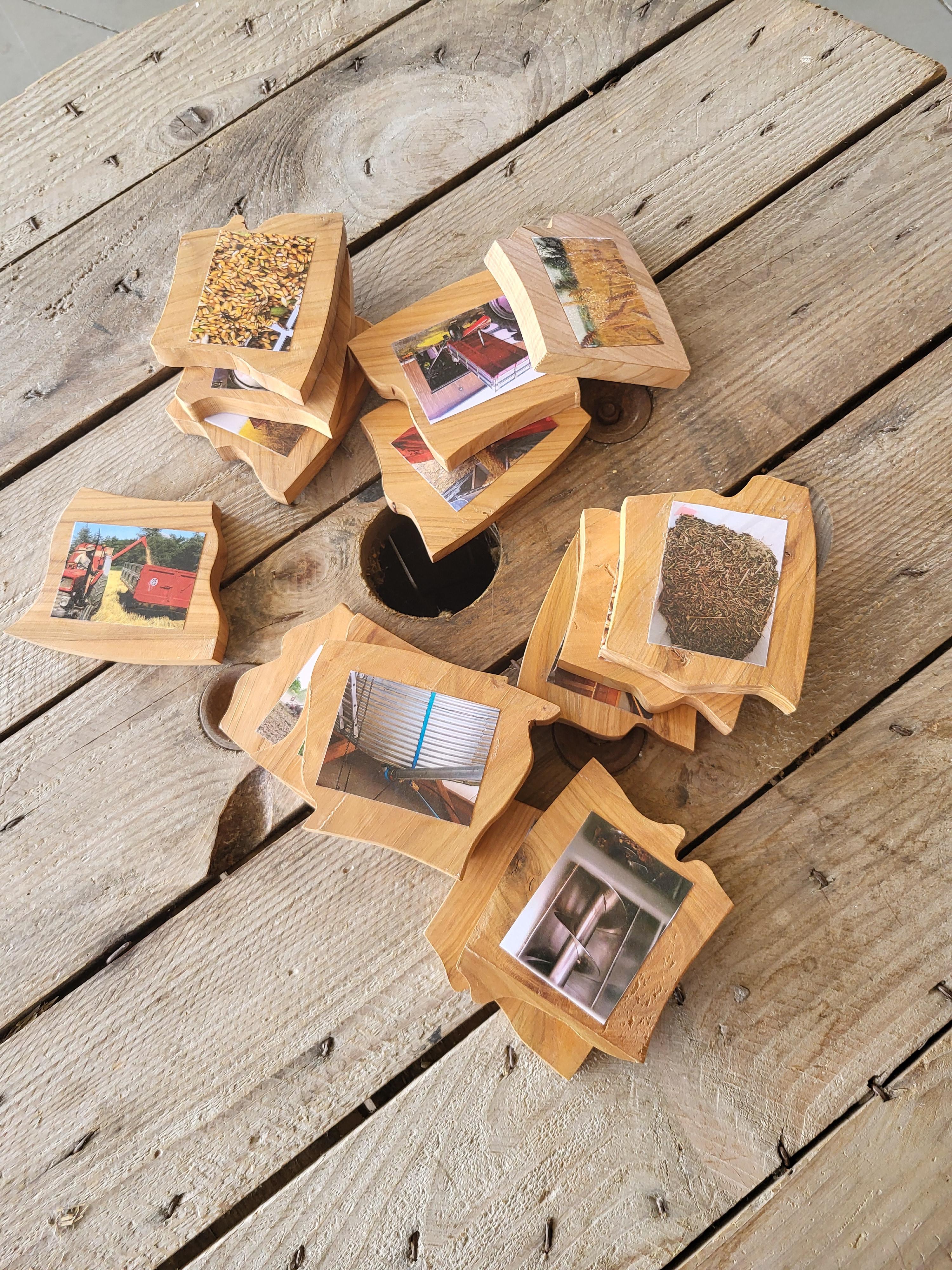 Visite du croissant fertile : du blé au pain_Mornant