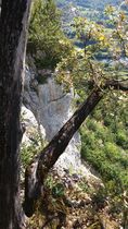 Roches du Jarbonnet