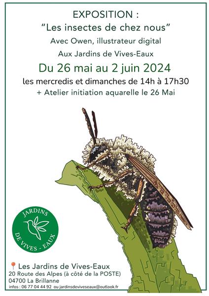 Exposition art digital "Les insectes de chez nous" par Owen Du 26 mai au 2 juin 2024